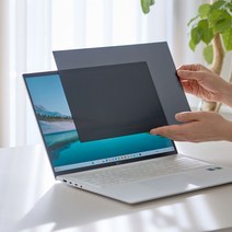 아이오랩스 모니터 사생활보호필름 노트북 개인정보보안 프라이버시 화면보호기 컴퓨터, 부착형, [16:10]16인치