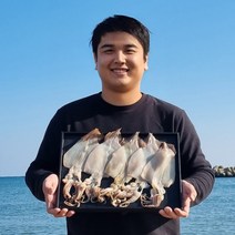[산지직송]쫄깃쫄깃 구룡포에서온 반건조오징어 5미, 반건조오징어 [파지] 4-6미 500g내외