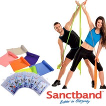 [티맥스] 샌트밴드 - 2M 에코백형 [level1~6] 운동밴드 밴드운동 필라테스밴드 근력운동밴드, 레벨5-플럼