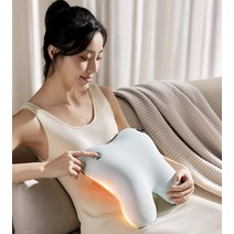 필립스 쿠션 안마기 허리 경추 어깨 목 마사지기 지압기 온열 온찜질, 파란색(플러그인 모델)