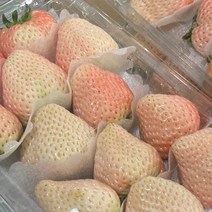 설화향 하얀딸기 눈꽃딸기 특사이즈 500g (500g x 1팩) 1kg(500g x 2팩) 흰딸기 만년설딸기, 500g (10~14과)