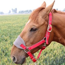 승마바지 승마용품 승마복 승마배우기 승마레슨 말로프 홀터 헤드 칼라 승마 장비 조정 가능한 두꺼운 굴뚝, 06 L