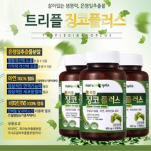 트리플 징코 플러스 2개월분 혈행 기억력 개선 도움줄수있음, 1번, 600mg