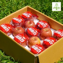 애플진 GAP 세척사과 껍질째먹는 환경친화적인 안동 햇사과 세트 사과유명한곳 3kg, 1개