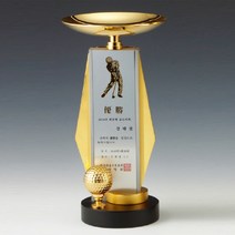 골프우승트로피회장배골프대회트로피 골프동호회트로피 DS10461-3