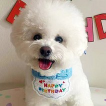 어른이랜드 반려동물 생일 파티 턱받침 + 고깔모자, 블루