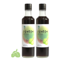 방주명가 5년 숙성 산골 개복숭아청 돌복숭아청 돌복숭아 개복숭아 액기스 엑기스 효소 발효액 480ml, 2개
