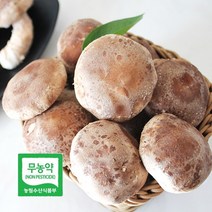 [더자연] 산해리 경북 영양 무농약 버섯 착한 송이 450g 상품, 1개