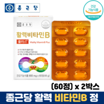 종근당 비타민B 정 비타민B1 비타민B2 비타민B군 비오틴 엽산 식약처인증 비타민비, 2박스, 60정