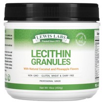Lewis Labs 뇌 인지력 관리 천연 코코넛 파인애플 레시틴 과립 Lecithin 454g 1팩