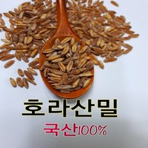 [22년산] 호라산밀 국산호라산밀 통곡물 고대곡물, 2개, 1kg