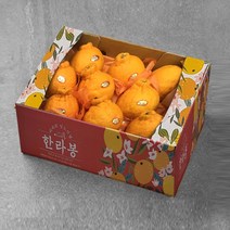 제주 한라봉, 1개, 실속 9kg