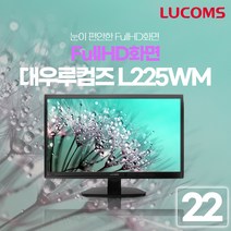 대우루컴즈 L225W-PL 22인치 모니터