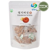 맘스킹 [창원몰]가고파힐링푸드 영지버섯차 12티백, 단품없음