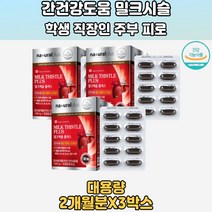 밀크씨슬추출물 비타민 A B12 엽산 아연 간건강 3통