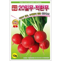 무씨앗 20일무 적환무(12g), 단품