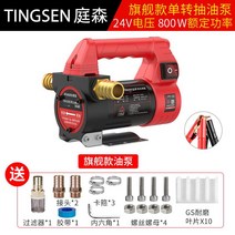 전동 주유 드럼 주유기 펌프 오일 경유 이송펌프, 800W 플래그십 24V 싱글