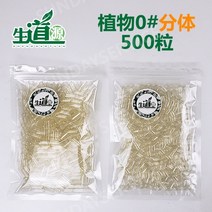 알약 포장기 소분 캡슐 충진기 공캡슐 조립 동물병원, 식물분할 500립(투명)