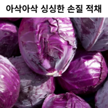 씻어서 바로 먹는 싱싱한 손질 적채 1통(1.2kg내외) 자색양배추 적색양배추 적색 붉은 붉은양배추 손질적채 샐러드 적채 해독주스 이유식 재료, 1개(1.2kg 내외)