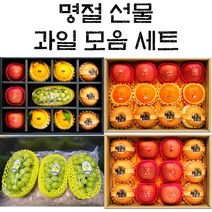 명절 과일 선물 세트 제철과일, 2_고급형_사과+배