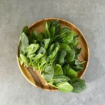 국내산 싱싱 시금치 4kg 2kg내외, 1BOX, 05_시금치 4kg내외