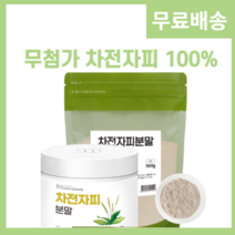 코즈덤 차전자피 먹는법 효능 차전차피 가루 자전차피 식이섬유 섬유소 실리엄허스크, 04. 차전자피분말 500g 2Box