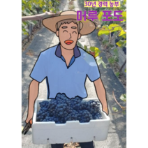머루포도 산지직송 2kg 4kg(8수내외) (에어백 배송), 프리미엄특등급 머루 4kg(10%할인)
