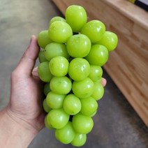 달콤한 고당도 샤인머스켓 김천 가성비 포도 가정용 못난이 선물용 2kg, 가정용 중과2kg(3~4수)