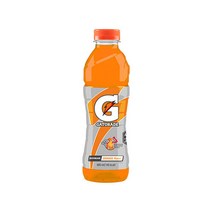 게토레이 이온음료 오렌지 600ml x 12pet