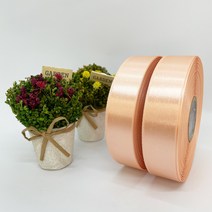 포장 리본 끈 제이제이리본 고밀도주자 45M 2롤 (10mm 15mm), 15mm, 조갯살