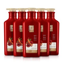 동의홍삼 영지홍삼 탈모린스 500ml, 5개