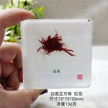 조각품 진짜 식물 곤충 견본 거북이 머리 거미 잠자리 불가사리 수지 홈 테이블, 29 29