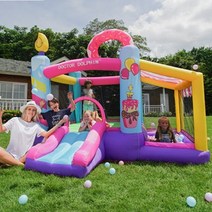 에어바운스 에어풀장 놀이터 미끄럼틀 가정 키즈카페 유치원 어린이집 아이들은 공기 송풍기를 가진 옥외, 02 290cmx270cmx220cm