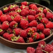 기타 영화농산 특급 산딸기 2kg 판매 가격 논산 제철