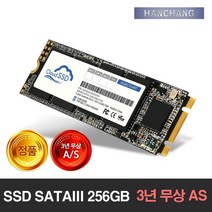 한창코퍼레이션 (당일배송) CLOUD SSD M.2 SATAIII 256GB