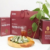 국내산 벌나무즙 간에좋은즙 30포 간편한 진액 엑기스 효능 지방에좋은음식, 벌나무즙 100ml 30포