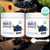 건강선물 빌베리 농축 분말 + 사은품증정 HACCP인증 효능 오스트리아산 야생블루베리 파우더 가루, 빌베리분말 250gX2개 (+스푼증정), 250g, 2개