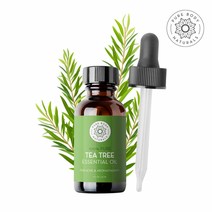 퓨어바디내추럴스 순수 100% 티트리 오일, 30ml, 1개