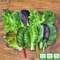[흙을 만드는 사람들] 친환경 유기농 모듬 쌈채소 샐러드채소 600g 800g 1kg 쌈야채, 모듬 샐러드채소 1kg