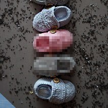 홀리졸리 아기신발 유아신발 출산선물 신생아선물 B09