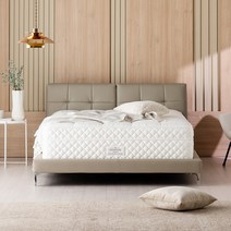 레이디가구 위슨 가죽침대 침대프레임 라지킹/퀸/슈퍼싱글 LK/Q/SS, LK_그레이쉬베이지