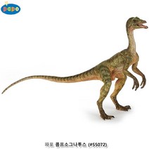 Papo 콤프소그나투스 공룡 모형 피규어/ 진짜같은 학습완구 교구