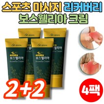 바르는 보스웰리아 크림 운동 전 후 근육 관절 스포츠 마사지 맛사지 크림 젤 겔, 2+2팩