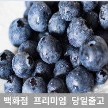 가락청과네 블루베리 1Kg 과일 제철과일 크랜베리 430235EA, 1, 본상품선택