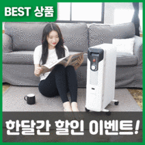 루다드림 미니 라디에이터 가정용 전기 라지에타, 9핀