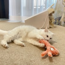 고양이 흐리멍텅 인형 장난감 바스락 캣닢 캣잎 캣잇 캣닙 깨무는 아기 입질 이갈이 새끼, 하마