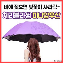 우산/양우산/거꾸로우산/대량구매/판촉/당일발송/접이식우산/미니양산/색상이변하는/체리블라썸 양우산
