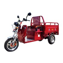 이지모터스 친환경 전기자동차 EG-300