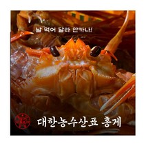 선주직송 연지 홍게 박달 대게 생물 제철 구룡포 3kg 당일조업 자숙 영덕, 04 박달 홍게 10마리, 1개