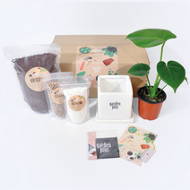 [가든플러스]실내공기정화 반려식물 홈가드닝키트 키우기쉬운화분 DIY세트, 24-3.안스리움(레드), 블랙사각set